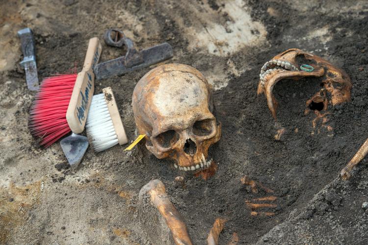В Омске нашли череп возрастом в три тысячи лет