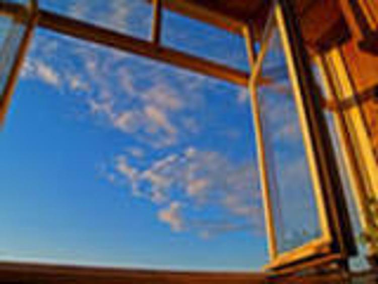 В Петербурге жена застреленного в 26-м отделе полиции выпала из окна 12-го этажа