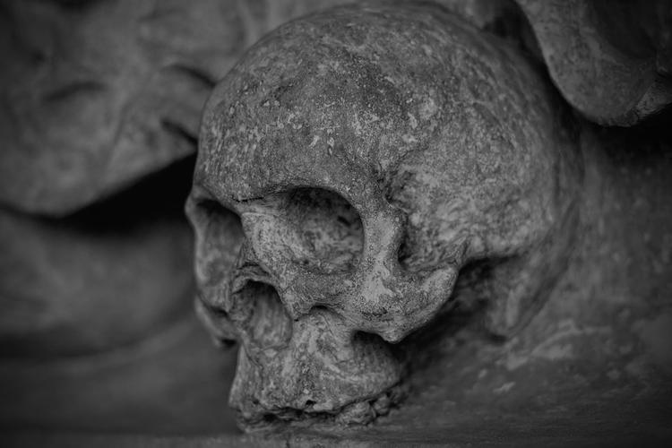 Обнаружение на Борнео черепа возрастом 37 тысяч лет может переписать историю