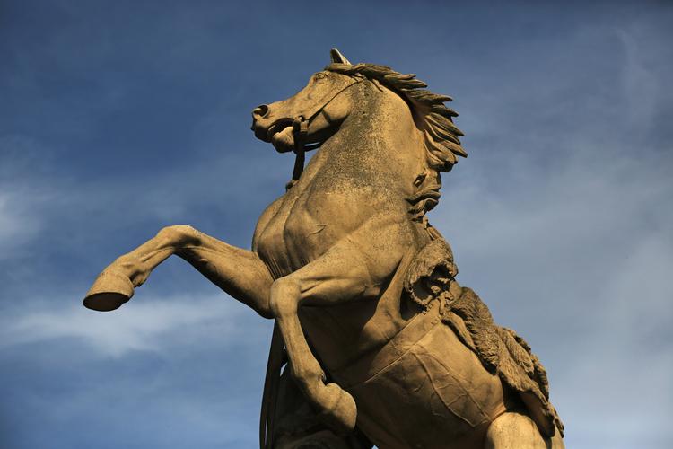 В Новой Зеландии в статуе лошади нашли рекордную партию кокаина
