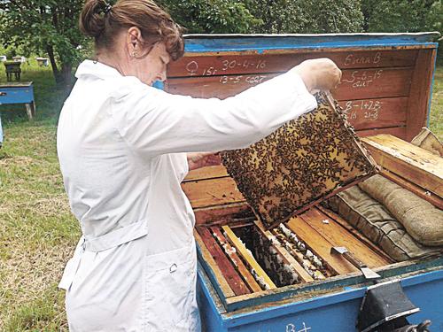 Пчелодёры из ФАНО