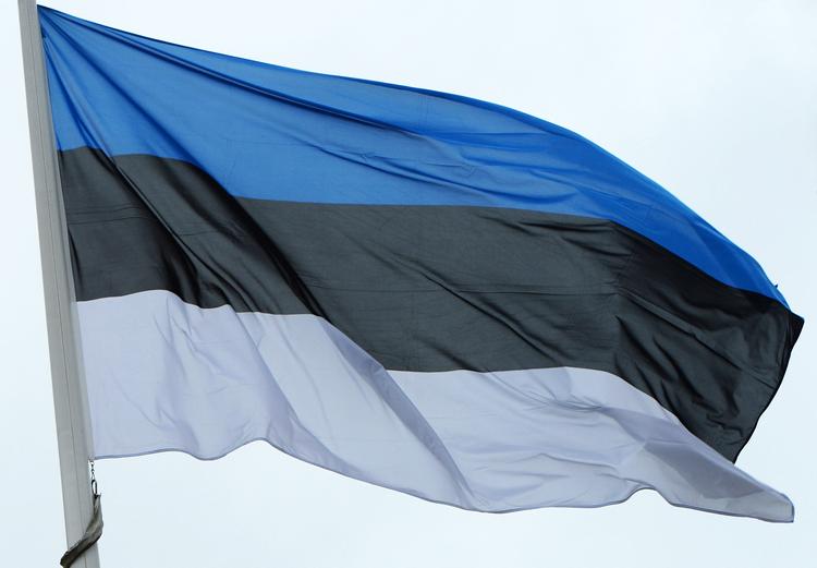 Посол РФ в Эстонии: ни один серьёзный политик Запада не верит в агрессию России