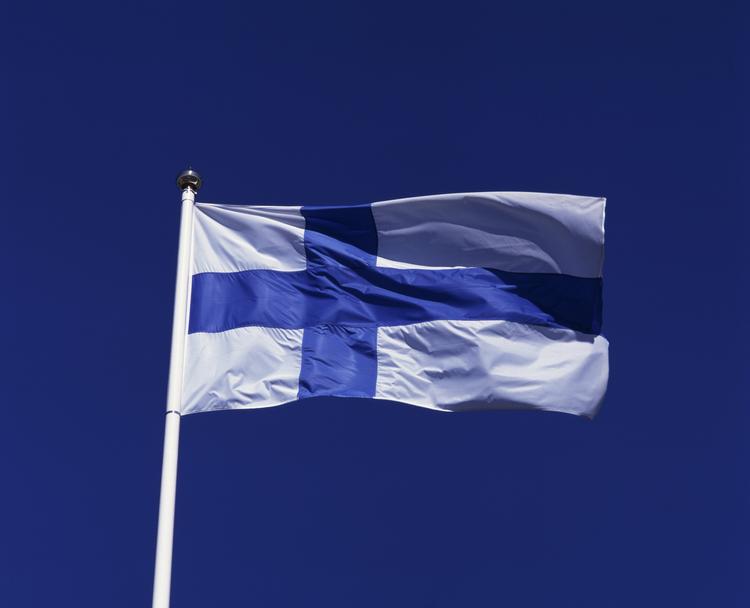 Опрос: почти половина финнов поддерживает референдум о вступлении в НАТО