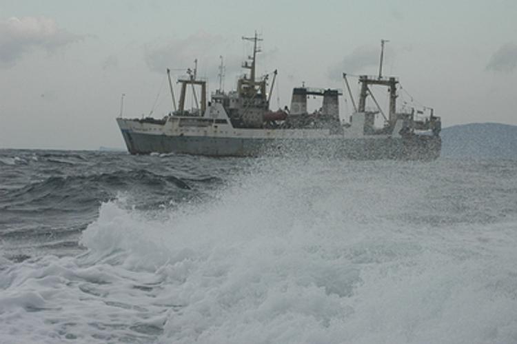 Калининградские рыбаки модернизируют флот