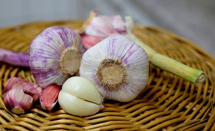 Учёные доказали влияние чеснока на вкус грудного молока