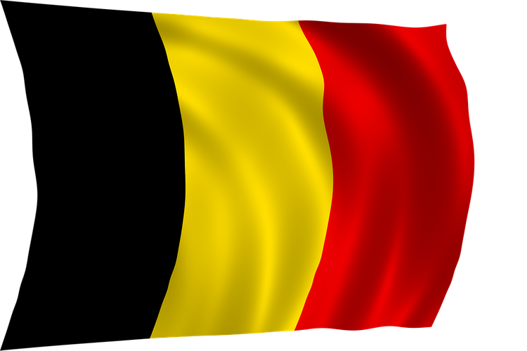В Бельгии полиция задержала братьев, подозреваемых в подготовке новых терактов