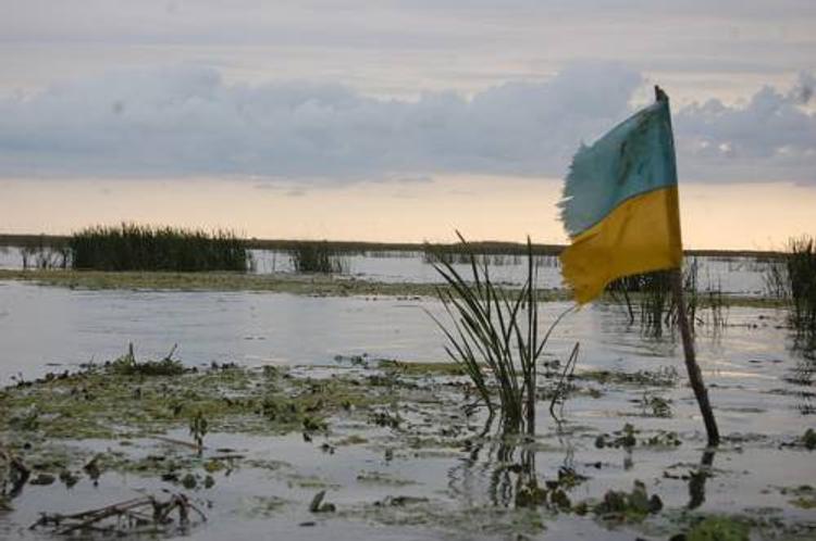 В ЛНР после покушения на Плотницкого ищут украинскую диверсионную группу