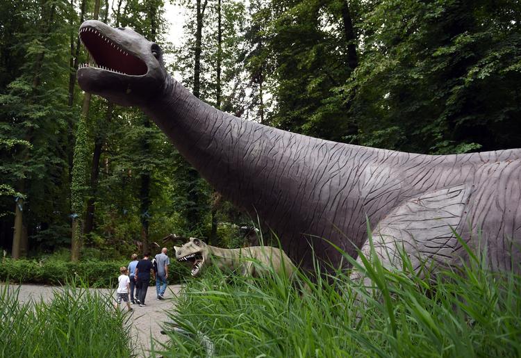 Найденный российскими учеными в Сибири динозавр оказался новым видом