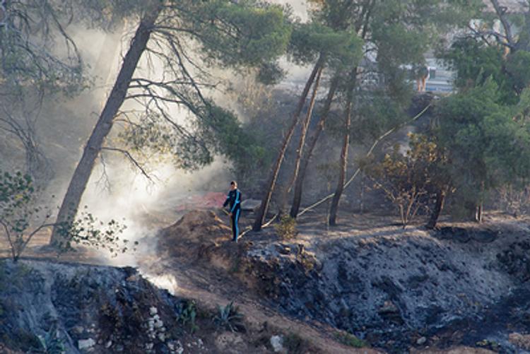 МЧС РФ спасло Португалию от лесных пожаров