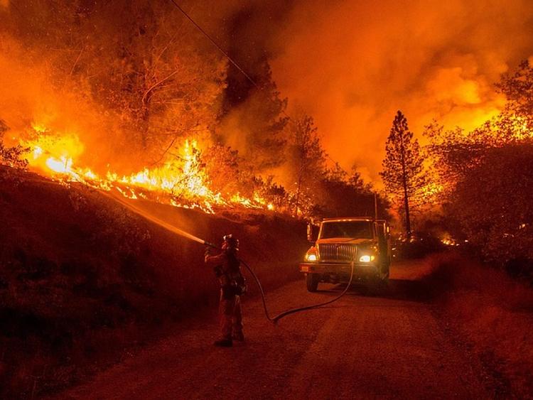 Леса в Португалии поджигал бывший пожарный