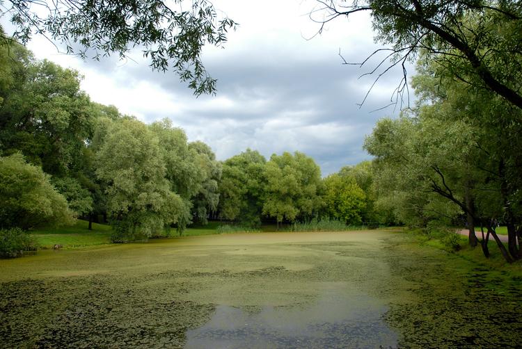 Пропавшая в Калужской области пенсионерка найдена мертвой в пруду