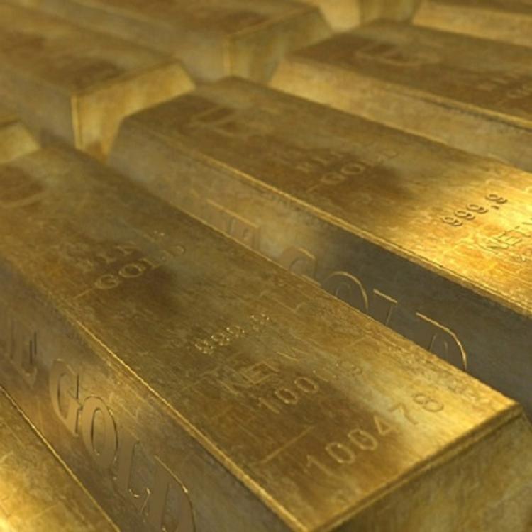 В квартире бывшего ректора украинского Нацавиауниверситета обнаружили девять слитков золота