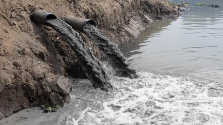 Санаторий «Сунгуль» сливал сточные воды в озеро Силач