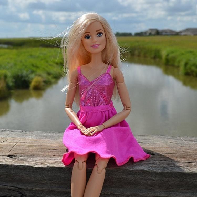 Кукла Барби может быть запрещена к продаже в России