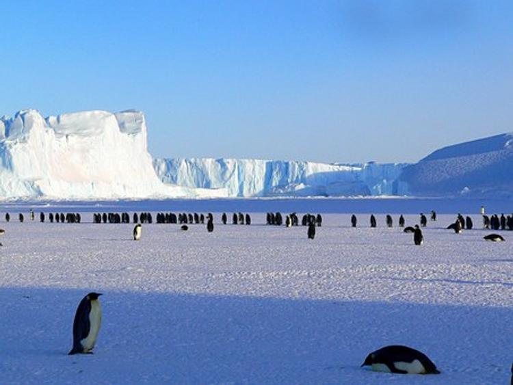 В Антарктиде обнаружены древнейшие пирамиды (ВИДЕО)