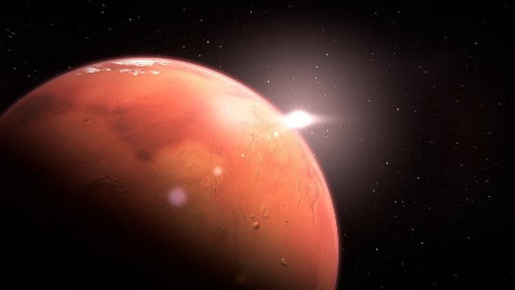 Илон Маск планирует переселить на Марс миллион человек (ВИДЕО)