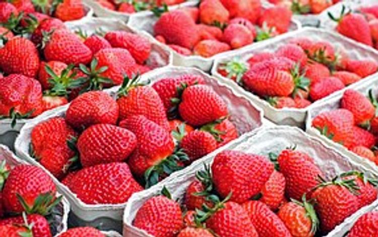 Россия запретила поставки фруктов и ягод через Белоруссию
