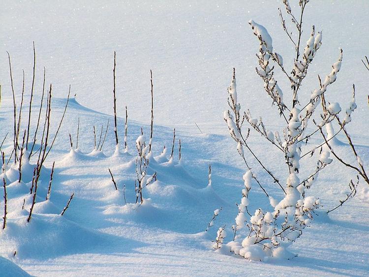 В Башкирии выпал снег