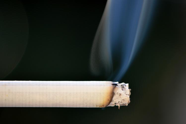 Для борьбы с курением Минсельхоз предложил уменьшить размер сигарет