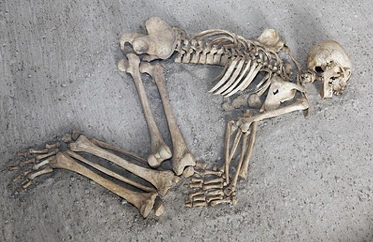 Человеческие кости нашли в заброшенном пионерлагере