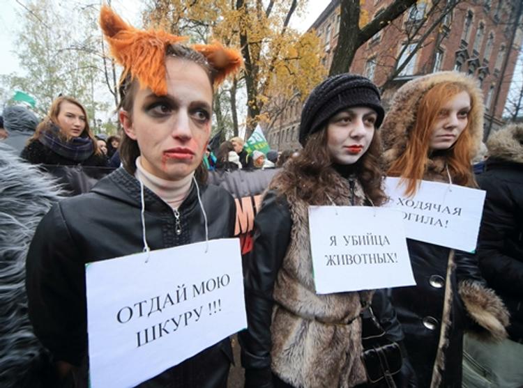 В московском Бирюлеве протестуют зоозащитники