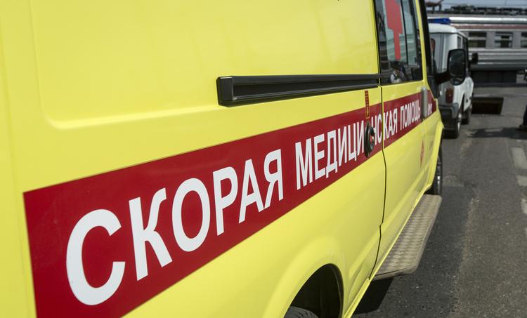 В Санкт-Петербурге на двухлетнего мальчика напала собака