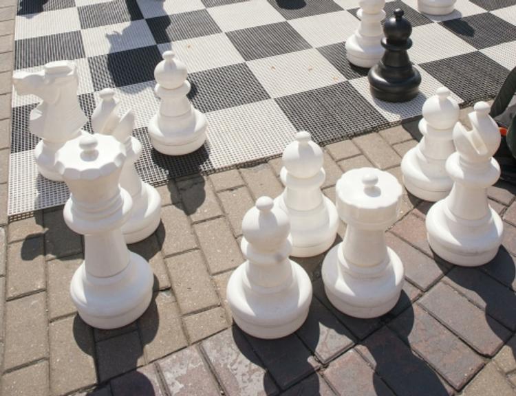 Новосибирский шахматист всем проиграл, но все равно получит 280 тысяч