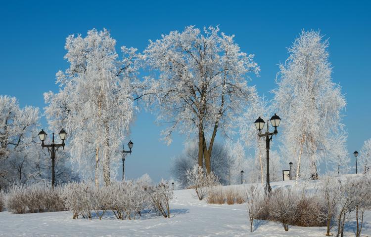 В Москве и области за ночь выпало почти 7 мм снега