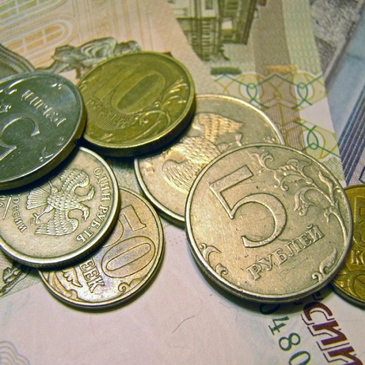 В Счетной палате прогнозируют рост числа россиян за чертой бедности