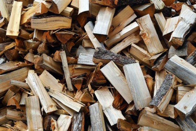 Двух жителей Приморья убили за отказ грузить дрова