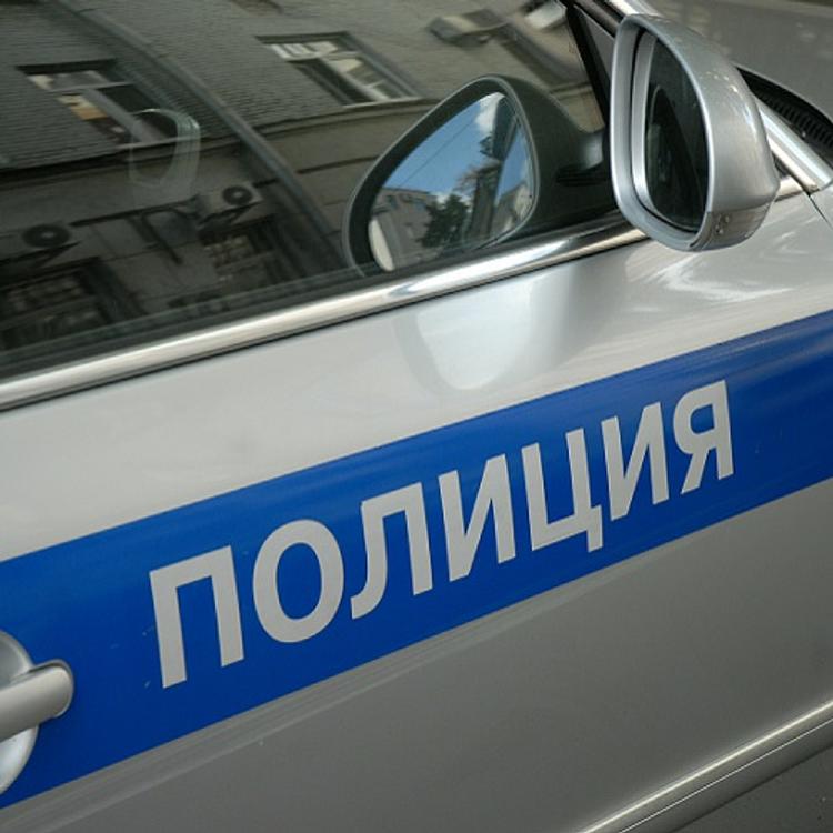 Под Псковом подростки обстреляли полицейский автомобиль (ВИДЕО)
