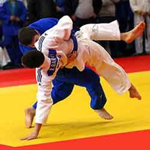 Сборная Приангарья по дзюдо победила на Всероссийских соревнованиях