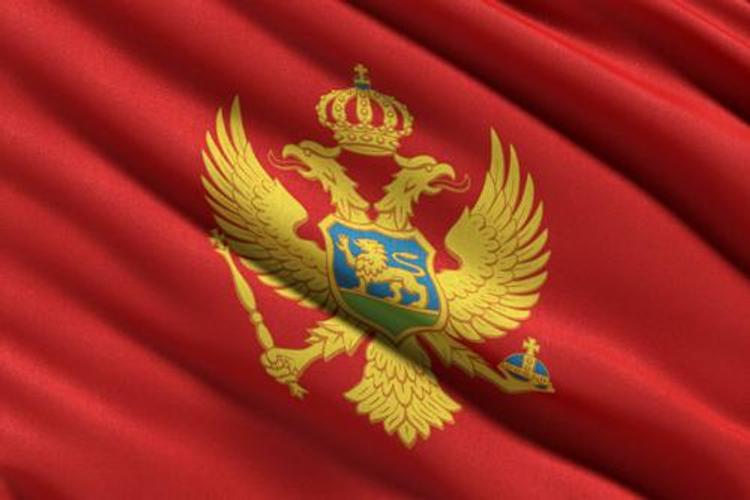 Власти Черногории назвали имена причастных к подготовке путча россиян