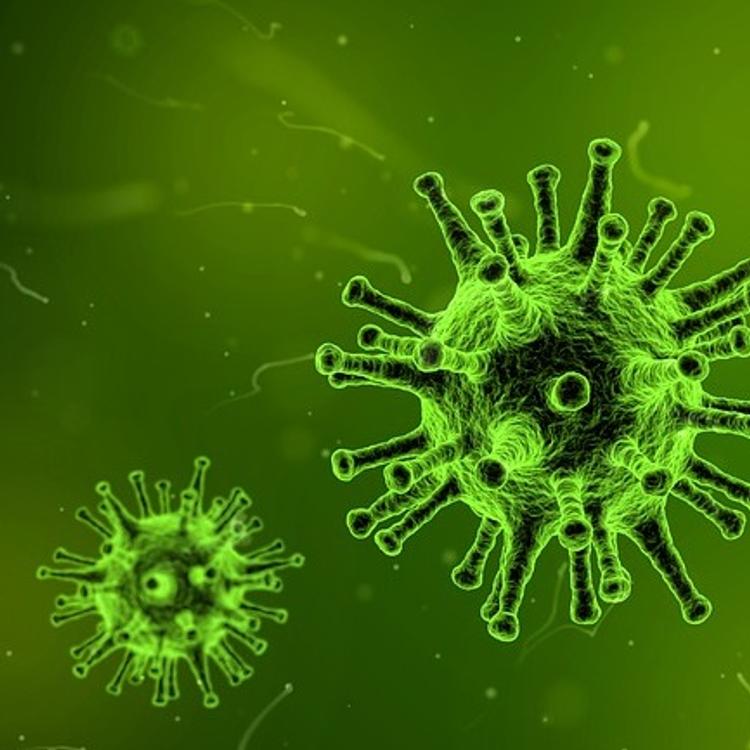 В Кирове обнаружен гонконгский грипп