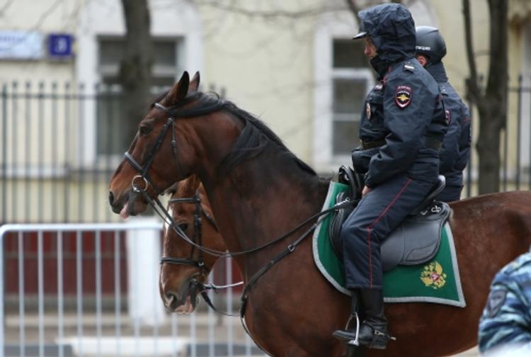 В Москве иномарка сбила конного полицейского (ВИДЕО)