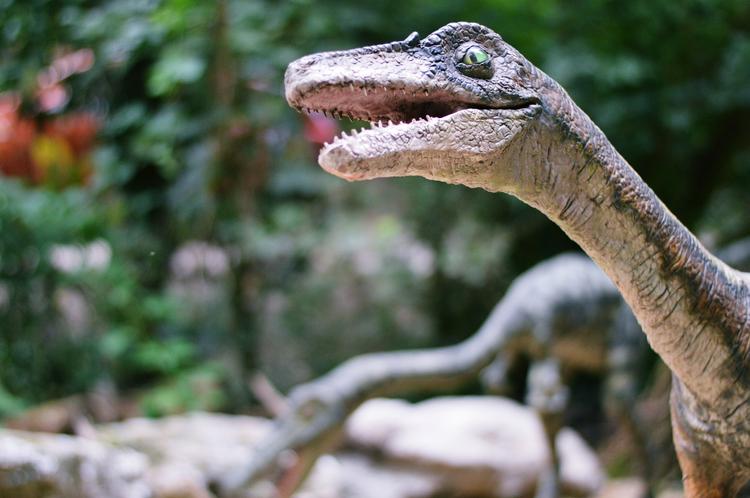 Ученые нашли скелет динозавра, который жил сто миллионов лет назад