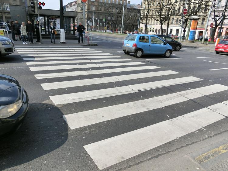 Задержан водитель, который сбил на пешеходном переходе в Москве двух девочек