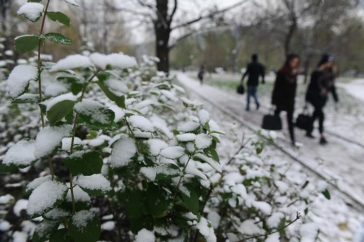 Город Сочи находится в экстренном положении из-за снегопада
