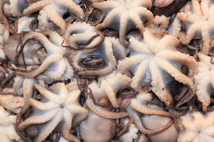 Ученые: определенные морепродукты значительно продлевают жизнь