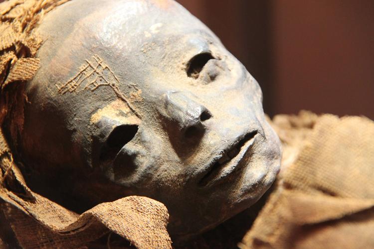Ученые расшифровали ДНК древнейших мумий и попытались узнать, зачем их создавали