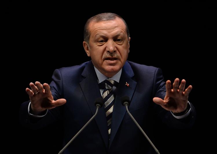 Эрдоган: есть доказательства поддержки боевиков в Сирии коалицией во главе с США