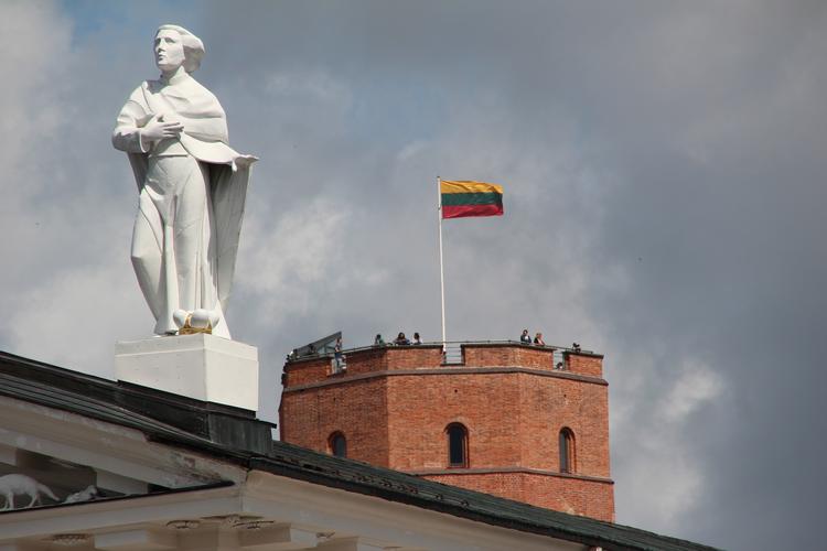 Литва обучает партизан на случай «оккупации» со стороны России