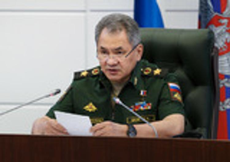 Шойгу ответил на заявление Пентагона о нулевом вкладе России в борьбу с терроризмом в Сирии
