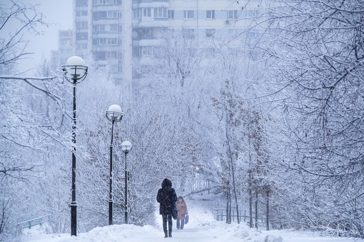 Опять метель: на Москву надвигается затяжной снегопад