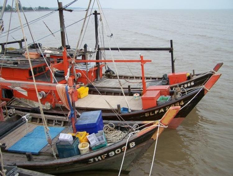 В Восточно-Китайском море пропало рыболовное судно с 12 рыбаками