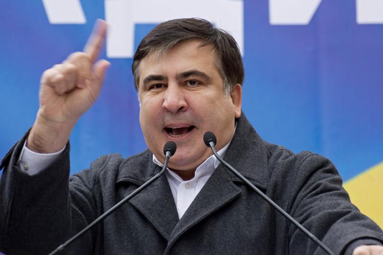 СМИ: Саакашвили наблюдал за инаугурацией Трампа из кустов (ФОТО)