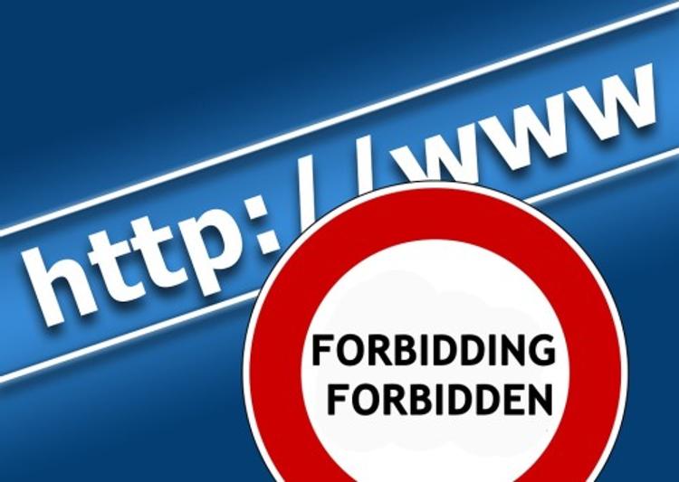 Интернет-омбудсмен - про ограничение интернета: Миссия невыполнима!