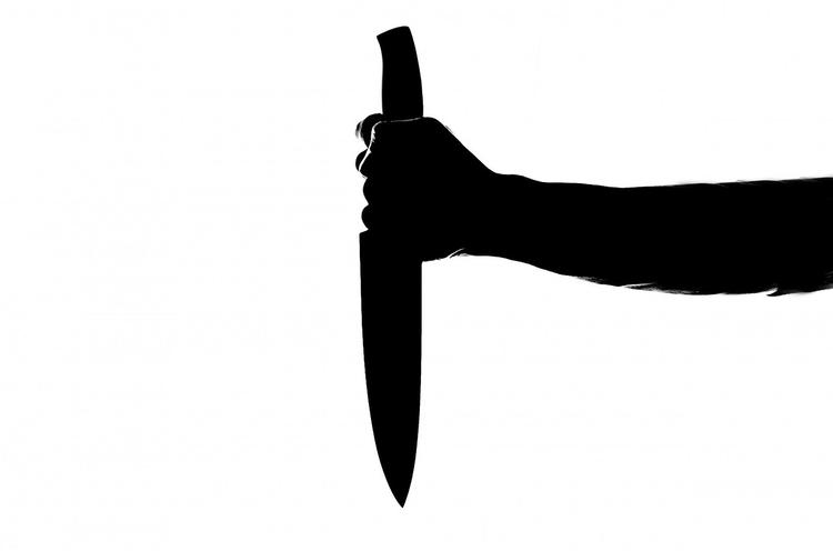 В Москве студентка ударила одногруппника ножом в висок