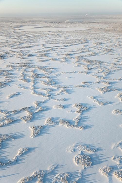 Путешественники проложат снегоходную трассу до Ледовитого океана