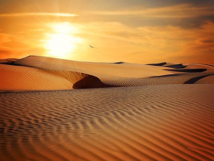 Геологи нашли в иранской пустыне остатки внеземной материи